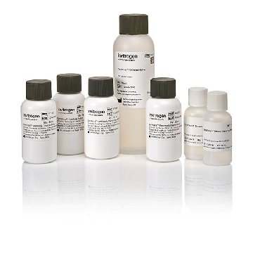 Probes CYTOVISTA TI CLEAR-STAIN KIT 1 KIT，V11324，赛默飞世尔