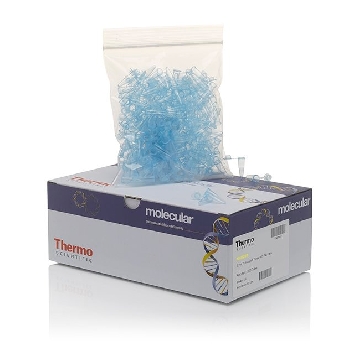 0.2ML FLAT CAP THERMO-TUBE, BL UE (SOLD AS CASE OF 1000)，AB0620B，赛默飞世尔