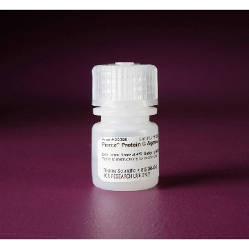 PIERCE PROTEIN G AGAROSE, 2 ML.，20398，赛默飞世尔