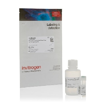 Probes SENESCENCE FLOW 50 ASSAYS 50 ASSAYS，C10840，赛默飞世尔