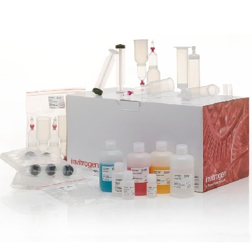 PL ENDO MIDI 50 PREP KIT EA，A36227，Applied Biosystems