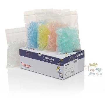 PCR, 0.2ML TUBE W/ ATTACHED FL AT CAP, RAINBOW PACK，AB0622，赛默飞世尔