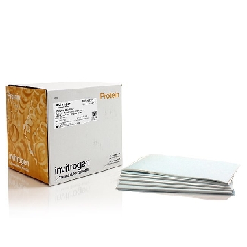 PB PRECUT MEM/FILTER NC REG 20 STACKS，PB7320，Invitrogen