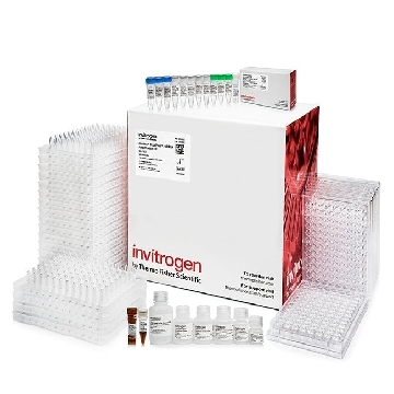 ILLUMINA TOTALPRE-96 RNA AMP. KIT，4393543，Applied Biosystems