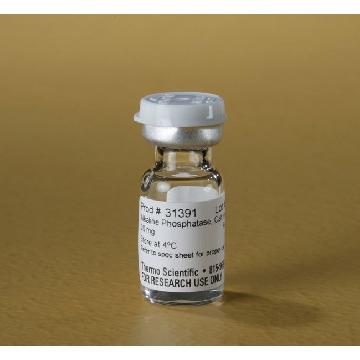 ALKALINE PHOSPHATASE, CALF INTESTINAL, 20 MG，31391，赛默飞世尔