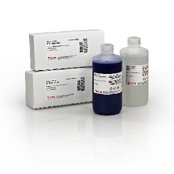 MIDI GEL POWER STAINING KIT EACH，22839，赛默飞世尔