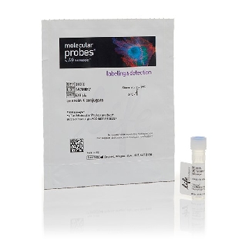 ANNEXIN V, ALEXA FLUOR 680 CON 500 UL，A35109，Invitrogen