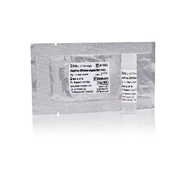 STEMPRO BM MESENCHYMAL STEM CL 1x10E6 cells/vial，A15652，Invitrogen