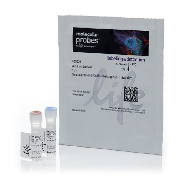 QTRACKER 655 TRIAL SIZE 1 KIT，Q25029，Invitrogen