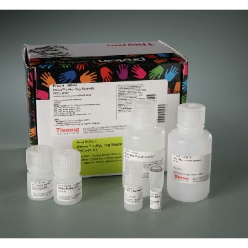 PIERCE C-MYC-TAG MAGNETIC IP/CO-IP KIT, 40 RXNS，88844，赛默飞世尔