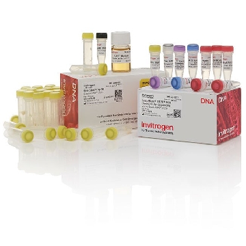 ZERO BLUNT TOPO/ SEQ/ EC (50) 50 RXN，K288040，Invitrogen