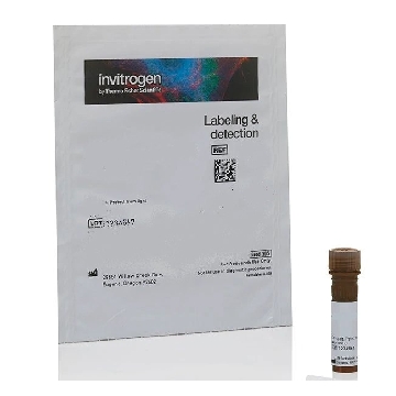 AGGLUTININ-RCA I, RCA120, FITC 5 MG，L32477，Applied Biosystems