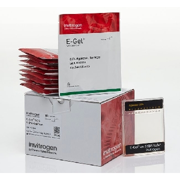 E-GEL NGS, 0.8% AGAROSE 10 PAK，A25798，Invitrogen