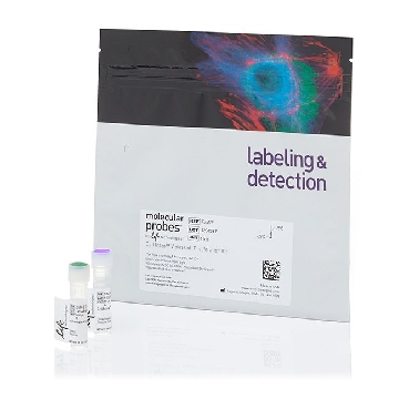 CELLTRACE VIOLET 20 TESTS 1 KIT - 20 tests，C34571，Invitrogen