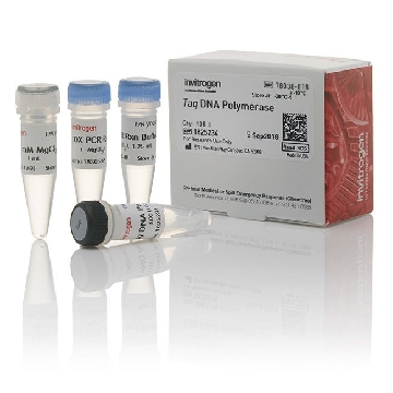 TAQ DNA POLYMERASE 100 UN         #Y02028，18038018，Invitrogen