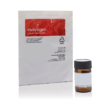 N-(3-TRIETHYLAMMONIUMPROP 5 MG，T7508，Invitrogen