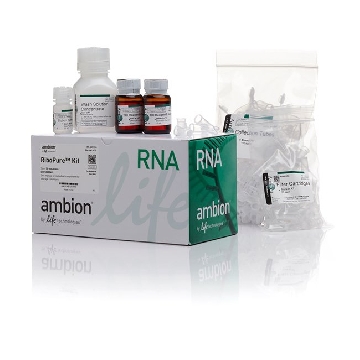 Transfer SKU RIBOPURE RNA ISOLATION KIT 1 KIT，AM1924，赛默飞世尔
