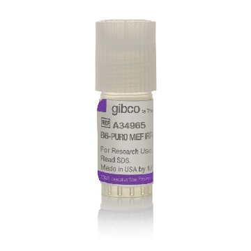 B6-PURO MEF IRRADIATED 2M EACH，A34965，Applied Biosystems