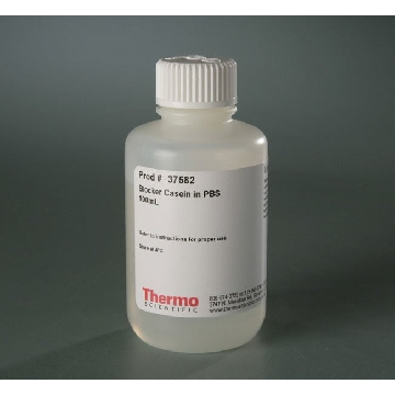 BLOCKER CASEIN IN PBS, 100 ML. EA，37582，赛默飞世尔