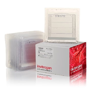 15% TBE-UREA GEL 1.0MM 15W 10 PER BOX，EC68855BOX，Invitrogen