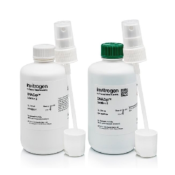 Transfer SKU DNAZAP 2 X 250ML EA BOTTLE EACH，AM9890，赛默飞世尔
