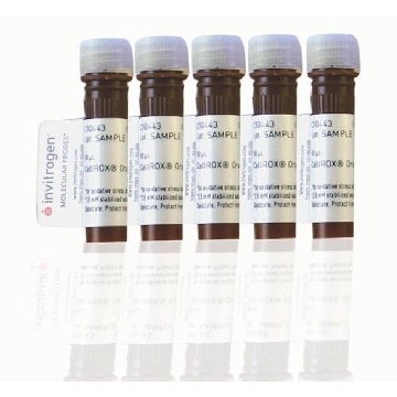 CELLROX GREEN REAGENT 5 x 50 UL，C10444，Invitrogen