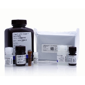 CAMP-SCREEN SYS DIRECT 96-WELL 960，4412187，Applied Biosystems