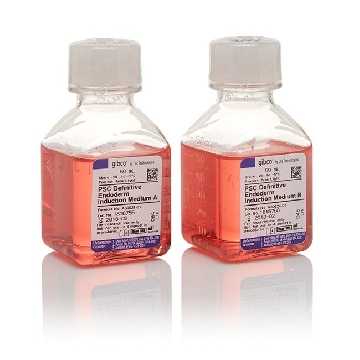 PSC DEF ENDODERM INDUCT KIT COMBO KIT，A3062601，Invitrogen