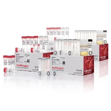 TA CLONING DUAL/INV 40 RXN，K205040，Invitrogen