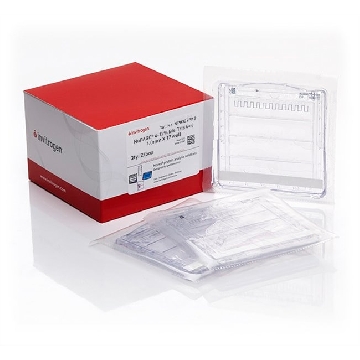 NUPAGE 4-12% BT GEL 1.0MM 17W 2 PER BOX，NP0329PK2，Invitrogen