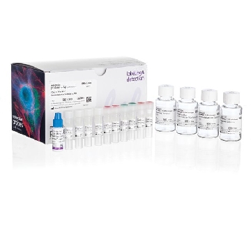 PSC 4-MARKER ICC KIT EA，A24881，Invitrogen