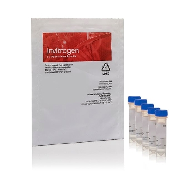 PHRODO RED E. COLI (K-12) 5 X 2 MG，P35361，Invitrogen