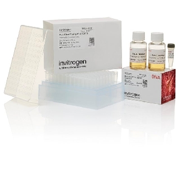 MULTISHOT STRIPWELL TOP10 96WELL X 50UL，C409605，Invitrogen