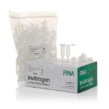 ELUTION TUBES (2 ML) 100 TUBES EACH，AM12480，Applied Biosystems