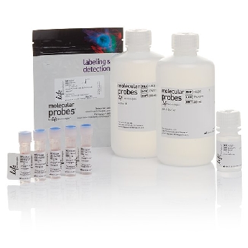 PHRODO GREEN ECOLI FLOW KIT kit，P35381，Invitrogen