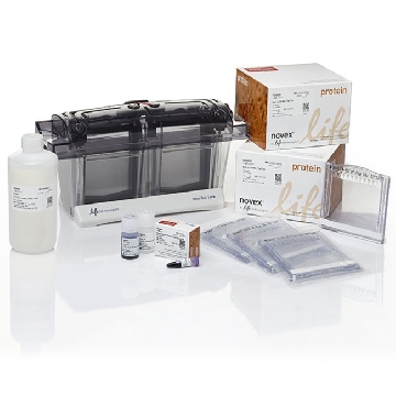 BOLT BIS TRIS 10% 12W WPK WELCOME PK，NW0010B，Invitrogen