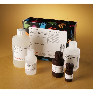 PIERCE FAST WESTERN BLOT KIT, SUPERSIGNAL WEST FEMTO，35080，赛默飞世尔