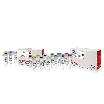 SSIV SYSTEM WITH EZDNASE 50 RXNS，18091150，Applied Biosystems