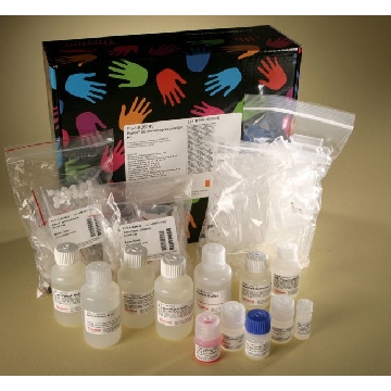 PIERCE CO-IP KIT EA，26149，赛默飞世尔