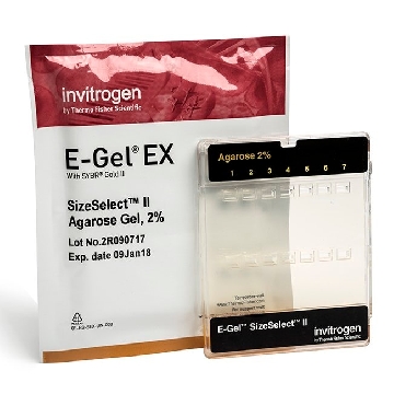 E-GEL SIZESELECT II 2% 10 GELS，G661012，Applied Biosystems