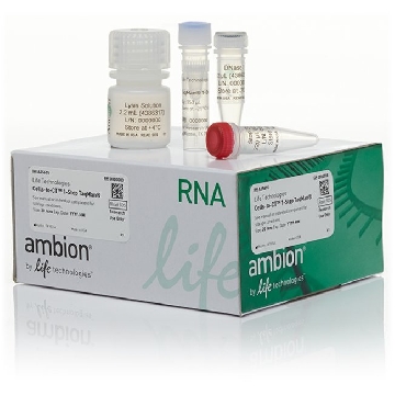 Transfer SKU FG TAQ MAN 1 STEP CELLS TO CT 20 RXN，A25605，赛默飞世尔