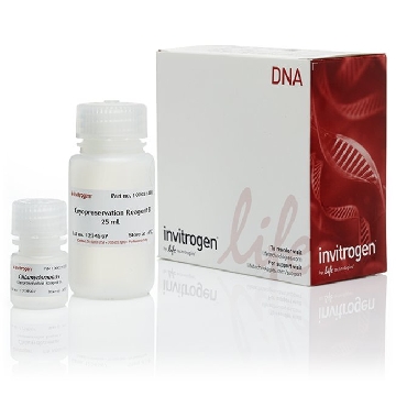 GENEART CRYO KIT KIT，A24228，Invitrogen