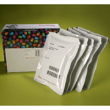 PIERCE PROTEIN G COATED PLATES,(CLEAR, 8-WELL STRIPS),，15133，赛默飞世尔
