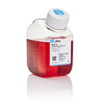DMEM 500ML，11960044，Invitrogen