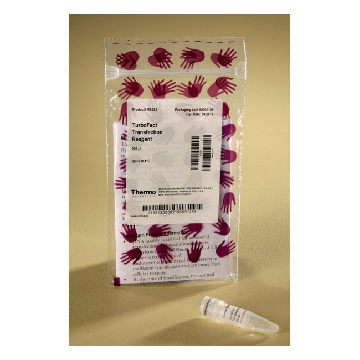 TURBOFECT TRANSFECTION REAGENT , 200 UL.，R0533，赛默飞世尔