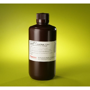 IMPERIAL PROTEIN STAIN, 1 L. EA，24615，赛默飞世尔