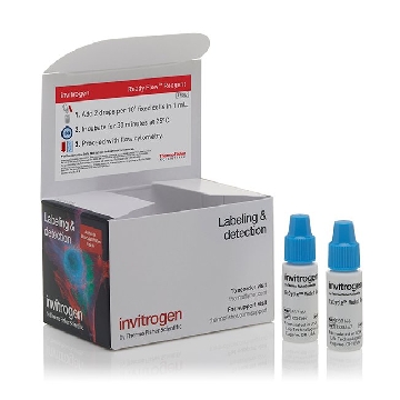 FXCYCLE VIOLET READY FLOW RGNT 2 X 2.5 ML，R37166，Invitrogen