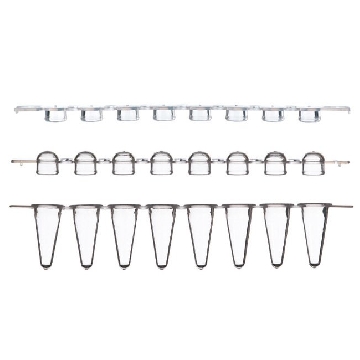 ABGENE PCR STRIPS, LOW PROFILE , DOMED CAP, (250 STRIPS)，AB0775，赛默飞世尔