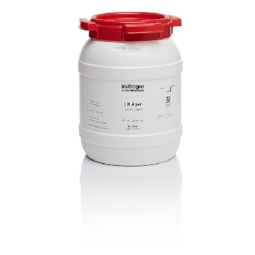 LB AGAR 2.5KG，22700041，Invitrogen
