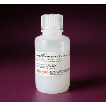 PIERCE RECOMBINANT PROTEIN A AGAROSE, 25 ML GEL，20366，赛默飞世尔